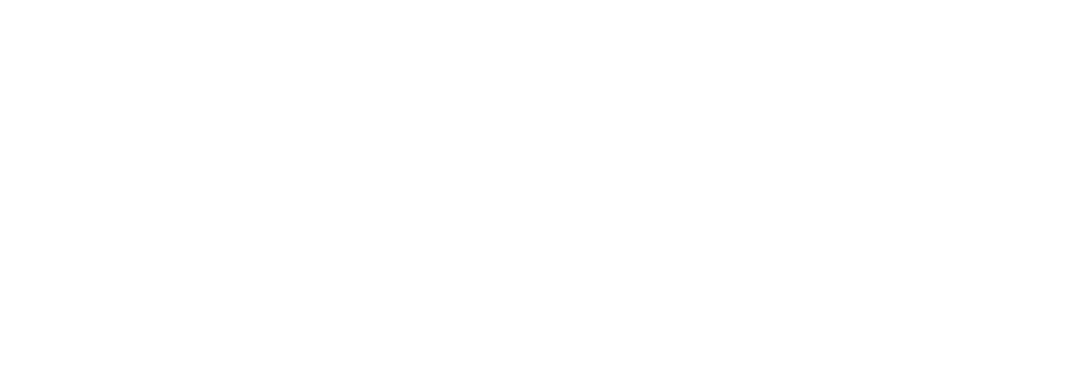 Bravida